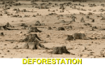 Deforestation desrtfifcation