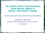 The Density Matrix Renormalization Group Method for Realistic