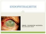Endophthalmitis[PPT]