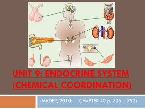 endocrine system - Natural science Tree