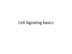 Cell Signaling basics