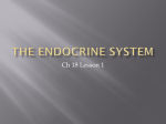 The Endocrine system - Aurora City Schools