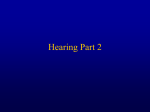 Hearing Part 2