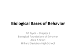 Ch 3 – Biological Bases of Behavior