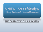 3. cardiovascular system