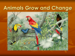Animals Grow and Change