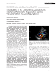 Microbubbles in the Left Ventricle Associated with Mechanical Aortic