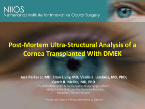 Post-Mortem Ultra-Structural Analysis of a Cornea Transplanted