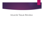 Day5 Muscle Tissue Review - Liberty Hill High School