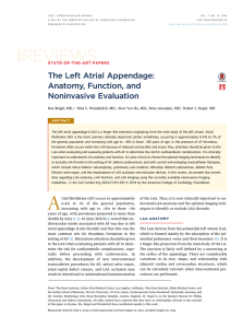 The Left Atrial Appendage: Anatomy, Function, and Noninvasive