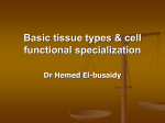 basic tissue types