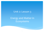 Unit 2 Lesson 3 Teacher Notes