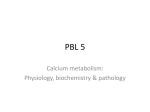calcium - Ipswich-Year2-Med-PBL-Gp-2
