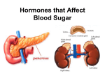 8.2 Hormones that Affect Blood Sugar - Ms. Pasic