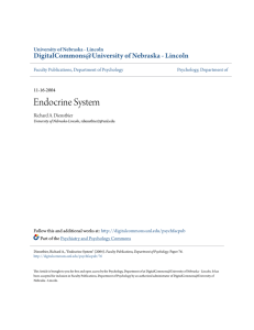 Endocrine System - DigitalCommons@University of Nebraska