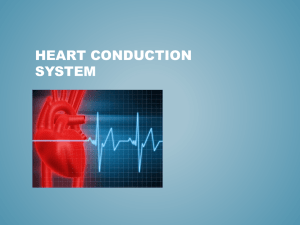 Heart Conduction System