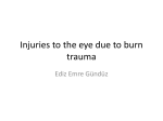 Injuries to the eye due to burn trauma