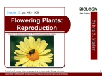 Flowering Plants: Reproduction