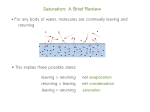 Saturation: A Brief Review