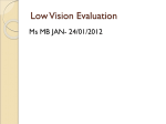 Topic 2: The Low Vision Evaluation