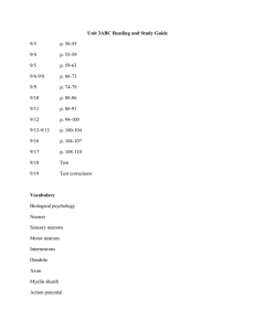 Unit 3ABC Reading and Study Guide