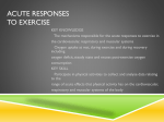 Acute Responses to Exercise