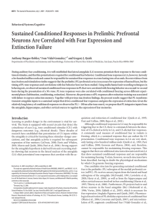 Sustained conditioned responses in prelimbic prefrontal neurons are