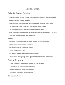 Endocrine System Endocrine System: Overview Types of Hormones