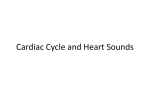 Cardiac Cycle and Heart Sounds