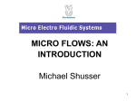 MICROFLOWS: AN INTRODUCTION Michael Shusser