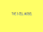 Interactive 3-cell model answers