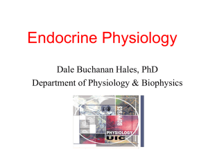 Endocrine Physiology - bushelman-hap
