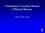 1.Pulmonary Vascular Disease 2.Pleural Disease