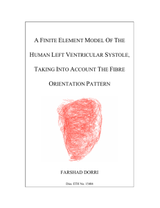 a finite element model of the human left ventricular systole, taking