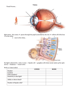 Vision Lecture Notes