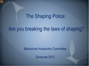 BHC The Shaping Police