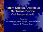 Patent Ductus Arteriosus Occlusion Device
