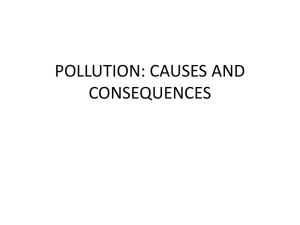 POLLUTION: CAUSES AND EFFECTS