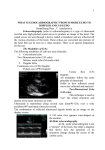 Three-Dimensional (3-D) Echocardiography