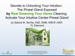 Secrets to Unlocking Your Intuition: The Pineal Gland Exposed by