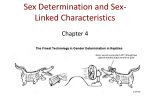 Sex Determination and Sex