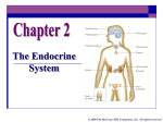 Chapter2 Endocrine System for handouts