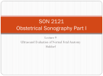 Obstetrical Sonography 1. Lecture 9 Survey of Normal Fetal Anatomy
