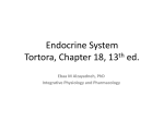 Endocrine System Tortora, Chapter 18, 13th ed.