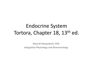 Endocrine System Tortora, Chapter 18, 13th ed.