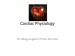Cardiac Physiology - doc meg`s hideout