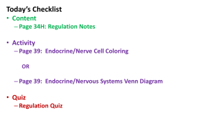 Regulation Notes Activity Page 39: Endocrine/Nerve Cell Coloring