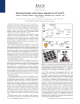 Differential Receptors Create Patterns Diagnostic for ATP and GTP