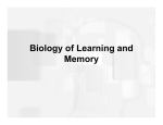 Biology of Learning and Memory