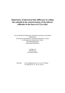 Importance of interaural time difference in coding the azimuth in the